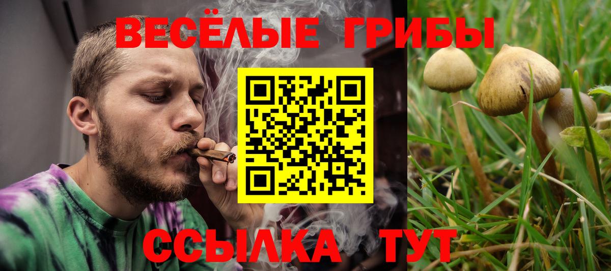 Псилоцибиновые грибы мухоморы  Псилоцибиновые грибы ЛСД  Вход с VPN  Петрозаводск 