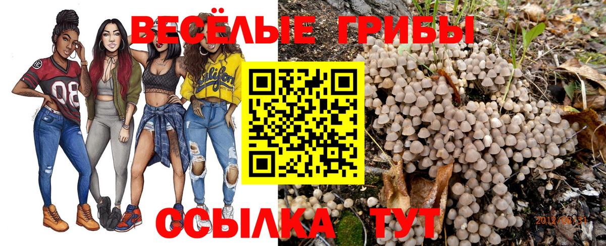 Псилоцибиновые грибы MAGIC MUSHROOMS Петрозаводск